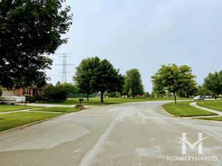 Vintage Harvest subdivision in Plainfield, IL