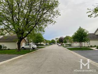 Manors of Hinsdale subdivision in Hinsdale, IL