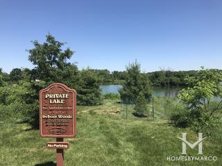 Deboer Woods subdivision in Homer Glen, IL