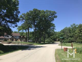 Deboer Woods subdivision in Homer Glen, IL