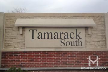 Tamarack South