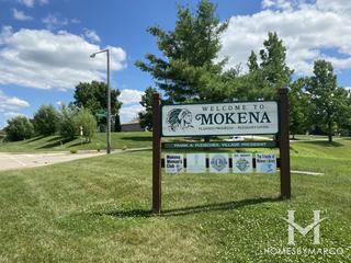 Photos of Prestancia subdivision in Mokena, IL