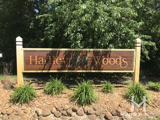 Photos of Hadley Woods subdivision in Homer Glen, IL