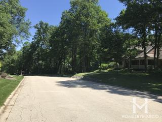 Hadley Woods subdivision in Homer Glen, IL