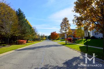 Photos of Natures Way subdivision in Lindenhurst, IL