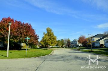 Natures Way subdivision in Lindenhurst, IL