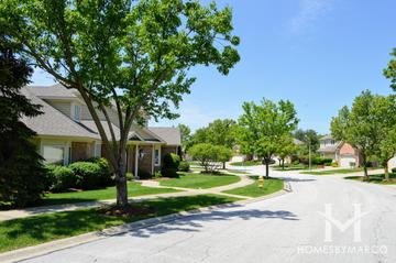 Pinegrove Of Wheaton subdivision in Wheaton, IL