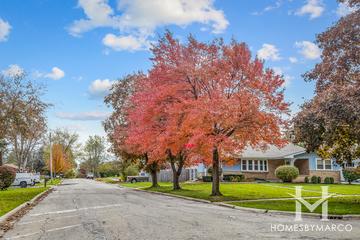 Zion City subdivision in Zion, IL