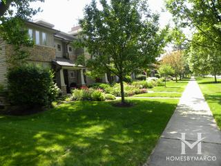 Larch Avenue Rowhomes subdivision in Elmhurst, IL