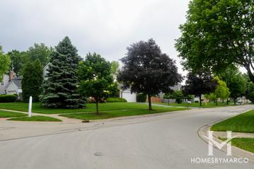 Will Bryant subdivision in Glen Ellyn, IL