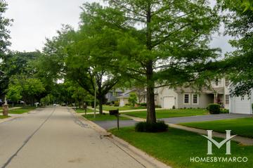 Will Bryant subdivision in Glen Ellyn, IL