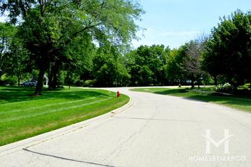 Wicklow Estates subdivision in Lake Zurich, IL
