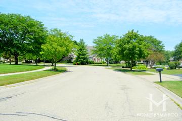 Wicklow Estates subdivision in Lake Zurich, IL
