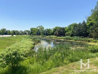 Deer Path Run subdivision in Lockport, IL