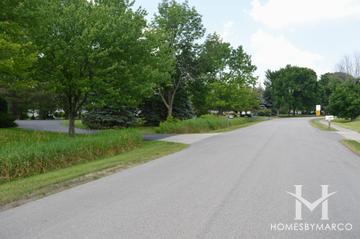 Edgebrook Downs subdivision in Long Grove, IL
