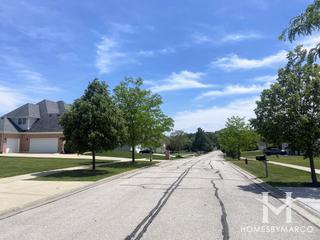 Bravo Pointe subdivision in Bartlett, IL