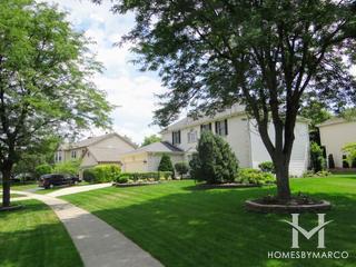 Jason Court subdivision in Carol Stream, IL