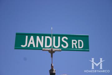 Jandus