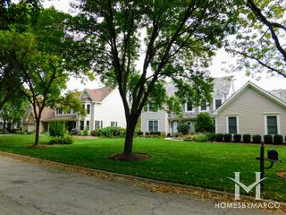Flint Creek subdivision in Barrington, IL