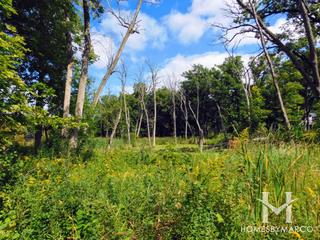 Deerpath Farm subdivision in Mettawa, IL
