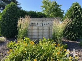 Photos of Amber Terrace subdivision in Lemont, IL