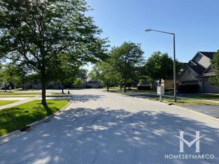 Amber Terrace subdivision in Lemont, IL