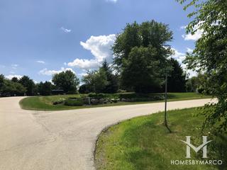 Red Hawk Landing subdivision in Oswego, IL