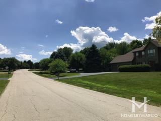 Red Hawk Landing subdivision in Oswego, IL