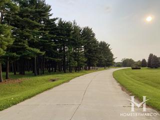Pine Cone Woods subdivision in Plainfield, IL