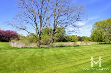 Amber Field Lakes subdivision in Lake Villa, IL