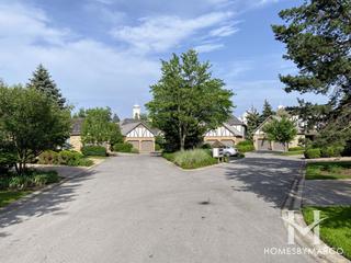 Lake Ridge Club subdivision in Burr Ridge, IL