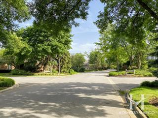 Lake Ridge Club subdivision in Burr Ridge, IL