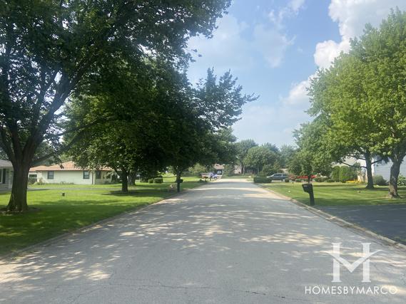 Photos of Lily Cache subdivision in Plainfield, IL