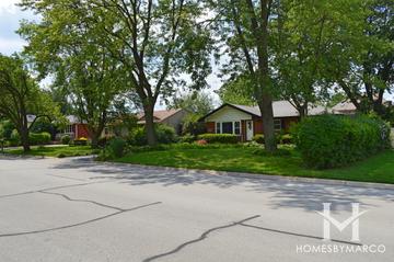 Crestview Park subdivision in Elmhurst, IL