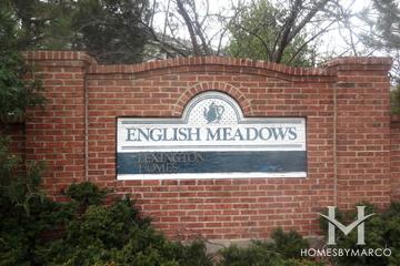 English Meadows subdivision in Grayslake, IL