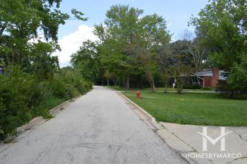 Briargate Villas subdivision in Highland Park, IL