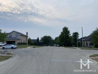 Photos of Hirsekorn Ridge subdivision in Lemont, IL