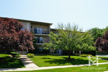 Ashling Hill subdivision in Downers Grove, IL