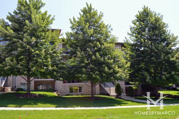 Ashling Hill subdivision in Downers Grove, IL