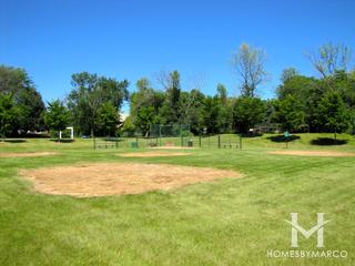 Old Mill Woods subdivision in Lincolnshire, IL