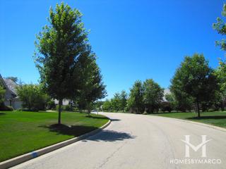 Old Mill Woods subdivision in Lincolnshire, IL