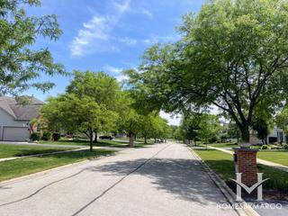 Ridings East subdivision in Bartlett, IL