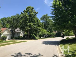 River Bend subdivision in Naperville, IL