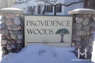 Providence Woods