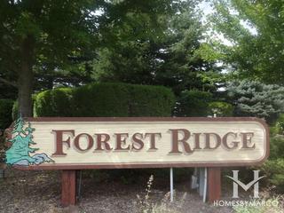 Forest Ridge