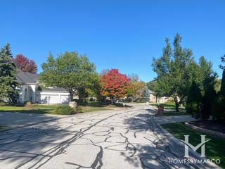 Photos of Gleneagles subdivision in Darien, IL