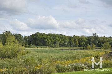 Grand Dominion subdivision in Mundelein, IL