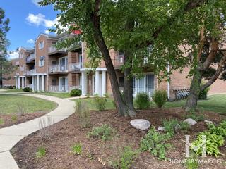 Quincy Bridge subdivision in Glenview, IL