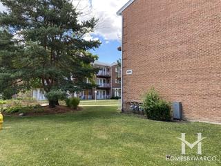 Quincy Bridge subdivision in Glenview, IL