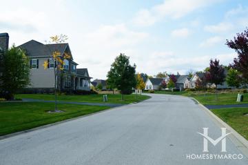 Sanctuary Club subdivision in Kildeer, IL